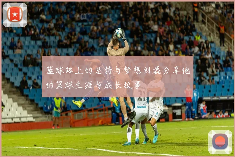 篮球路上的坚持与梦想刘磊分享他的篮球生涯与成长故事