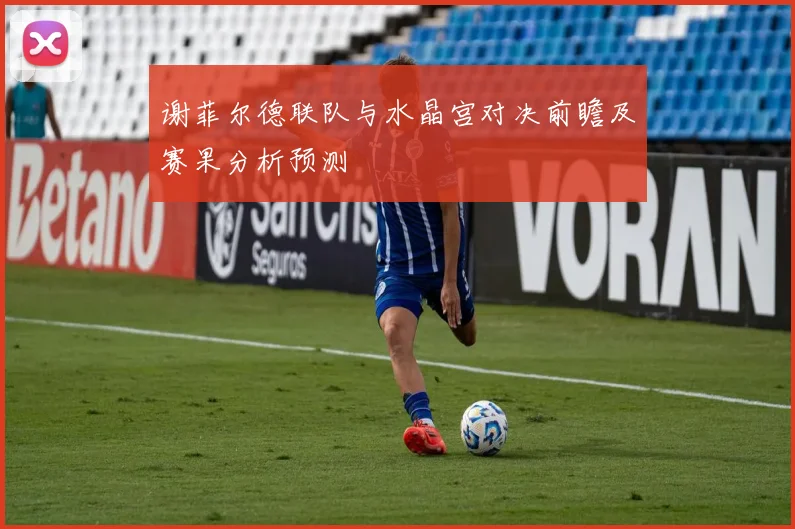 谢菲尔德联队与水晶宫对决前瞻及赛果分析预测